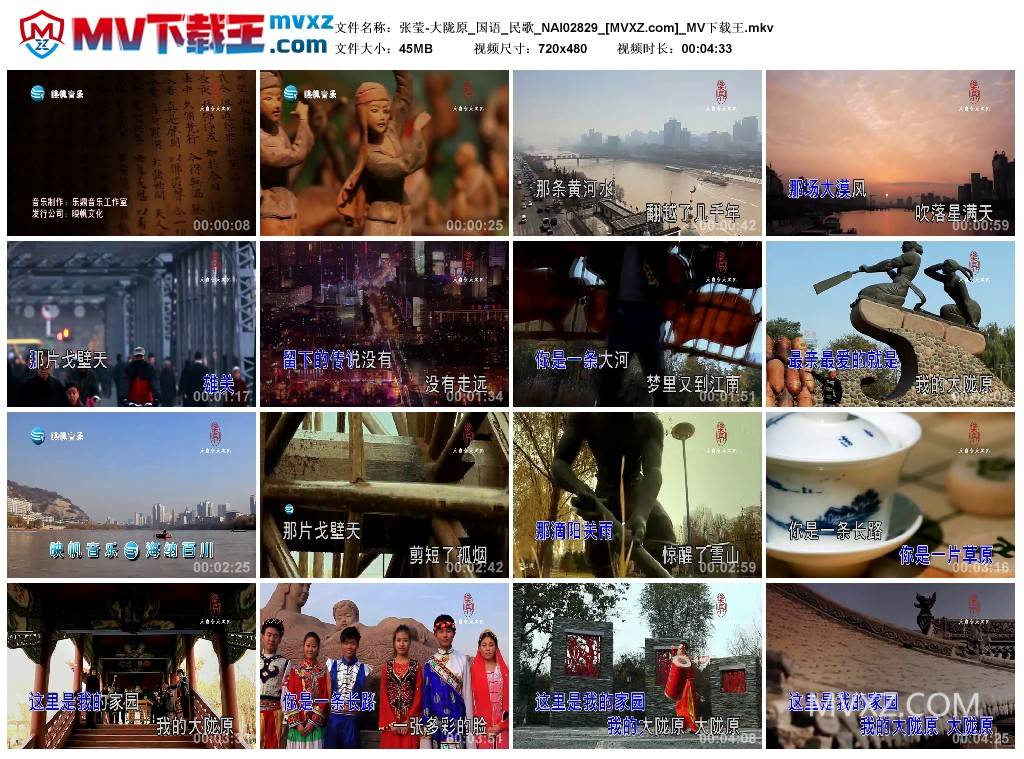 张莹-大陇原_国语_民歌_NAI02829